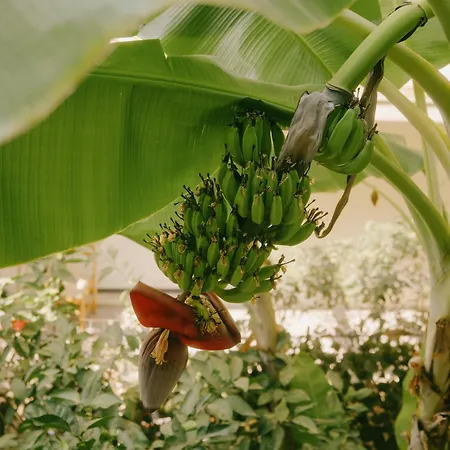 Rhodes Backpackers Boutique And * Rhodes City